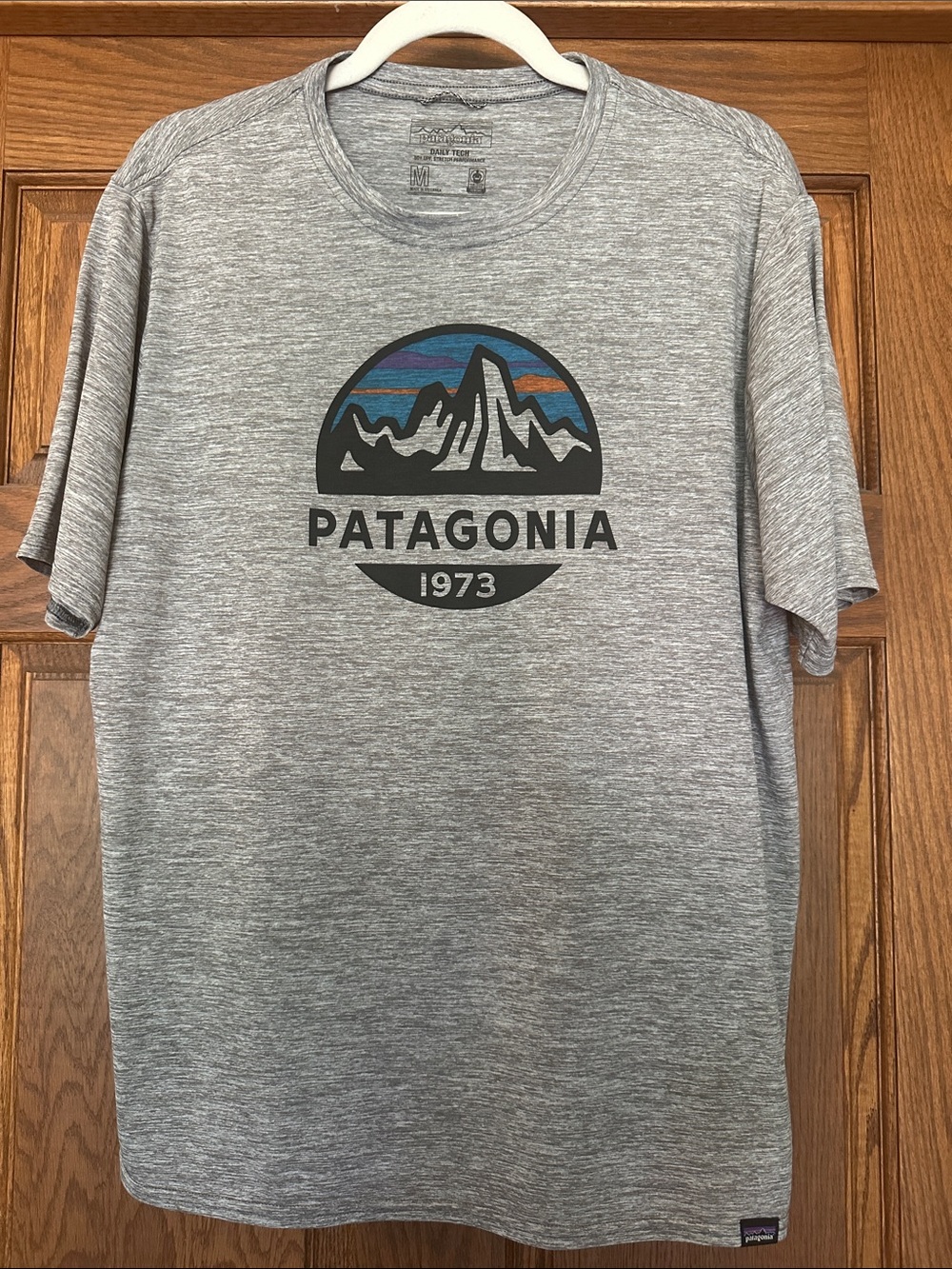 Patagonia Gray Short Sleeve Tee with 1973 Mountain Logo